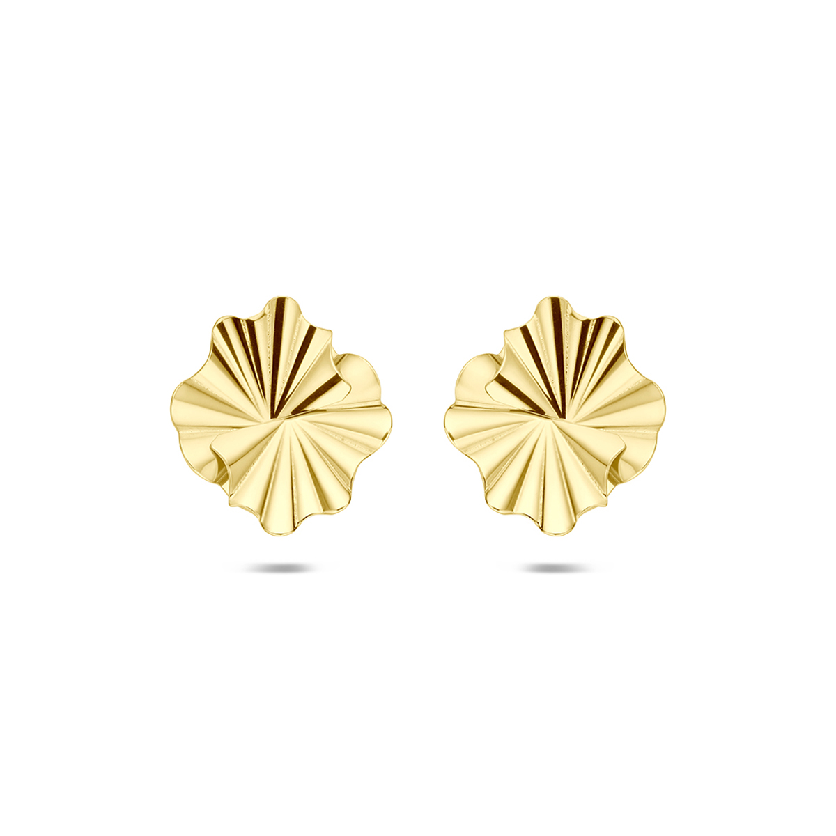 14k Geelgouden oorknoppen met een afmeting van 11.5x10mm.