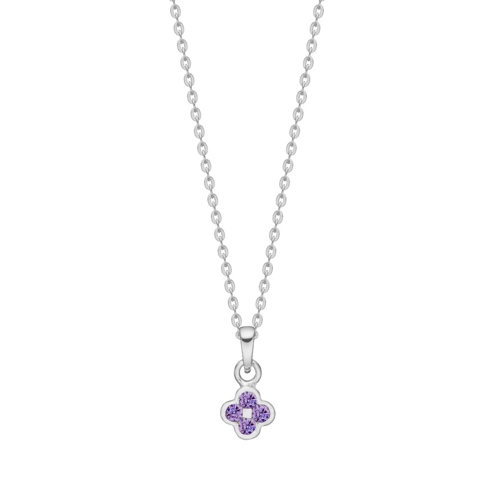 De Zilveren hanger bloem met paarse CZ, modelnummer 20258120900, is een verfijnde zilverkleurige ketting. Gemaakt van 925 sterling zilver, straalt het nieuwheid en elegantie uit. Perfect voor dagelijks gebruik of speciale gelegenheden. Draag het met een V-hals of een elegante blouse om de paarse steentje te accentueren en een stijlvolle look te cre&euml;ren.