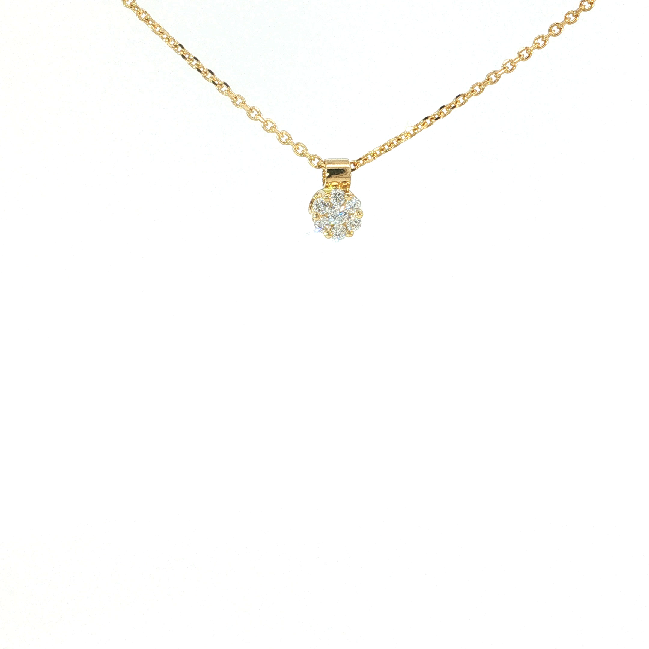 Een klein juweel met een groots effect! 
Deze charmante halsketting in 18 karaat geelgoud draagt een verfijnde ronde hanger, waarin fonkelende diamanten samen een sprankelend bloemenmotief vormen. De warme gloed van het goud en het schitterende diamantspel maken dit juweel tot een onweerstaanbare favoriet, perfect om elke dag te dragen of iemand op een bijzondere manier te verrassen.