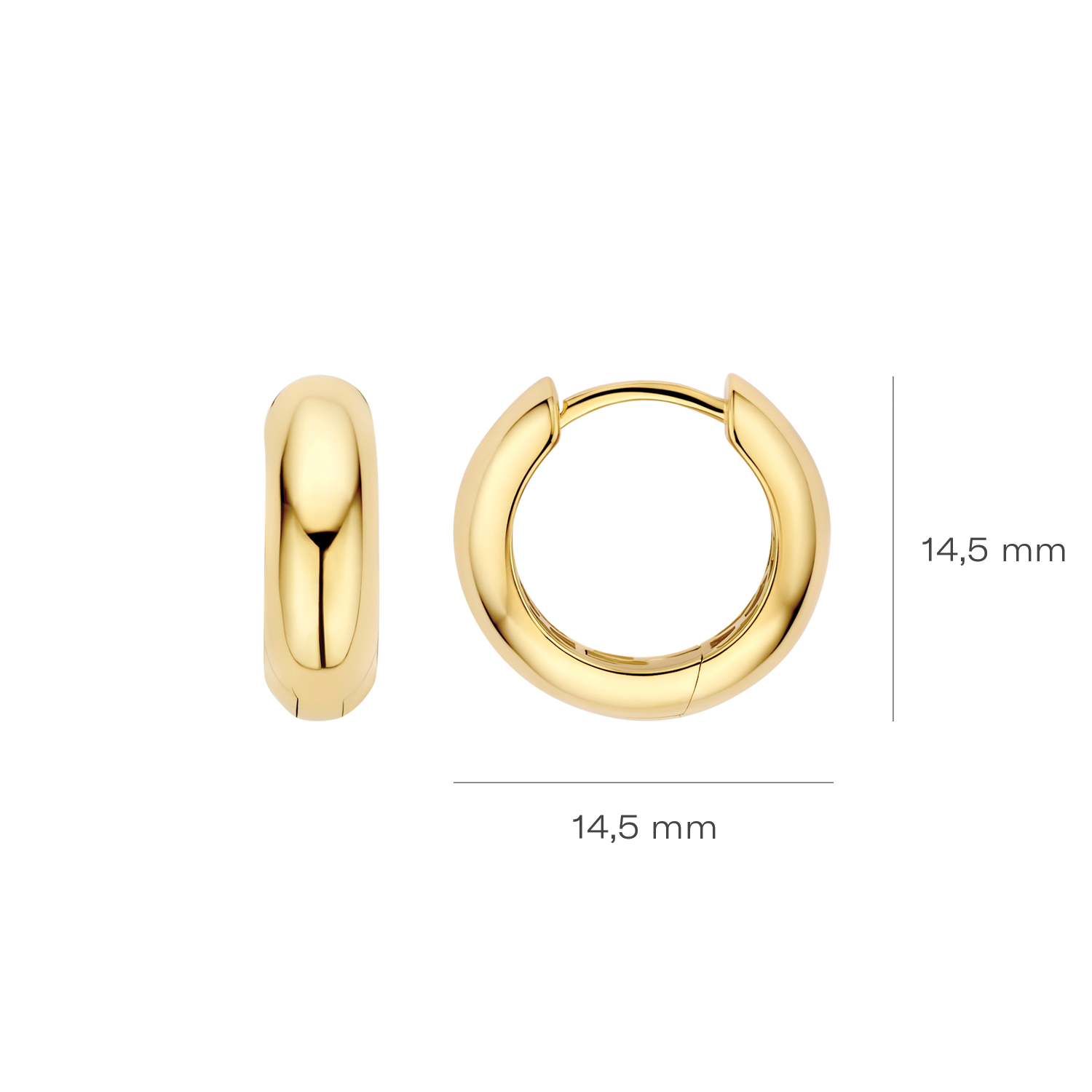 Blush Oorringen 7389YGO - Geelgoud (14k) 